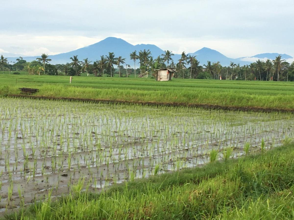 الشقق الفندقية تْشانغوفي  Bali Harmony Retreat المظهر الخارجي الصورة