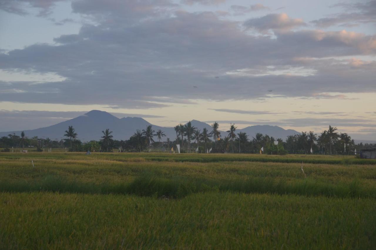 الشقق الفندقية تْشانغوفي  Bali Harmony Retreat المظهر الخارجي الصورة
